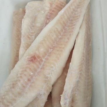 精品鳕鱼片，一箱二十斤质量保证诚信经营欢迎咨询