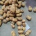 山东黄土豆济南土豆泰安土豆肥城黄心沃土+V7