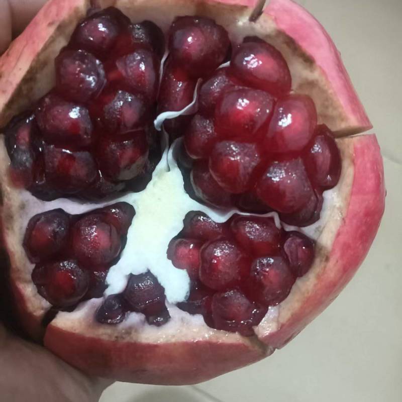 大田突尼斯石榴软籽