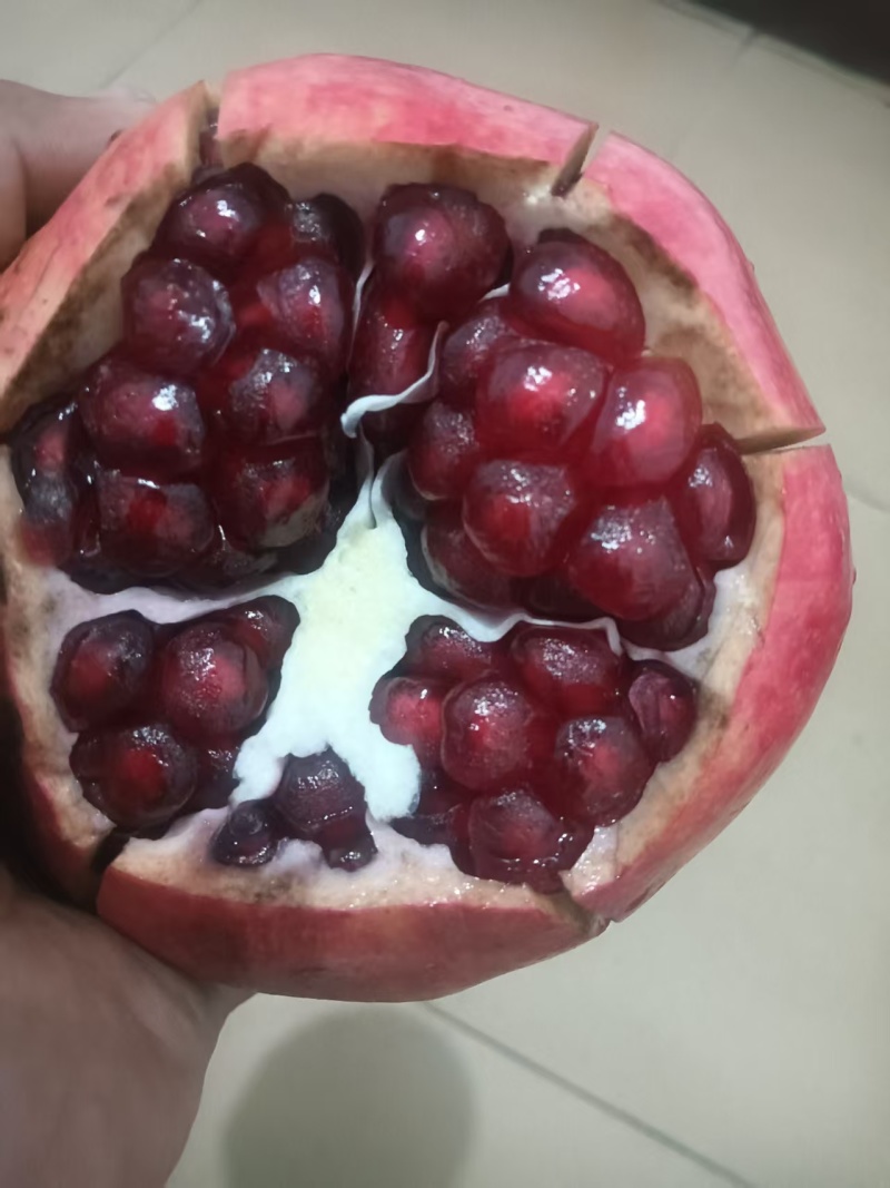 大田突尼斯石榴软籽