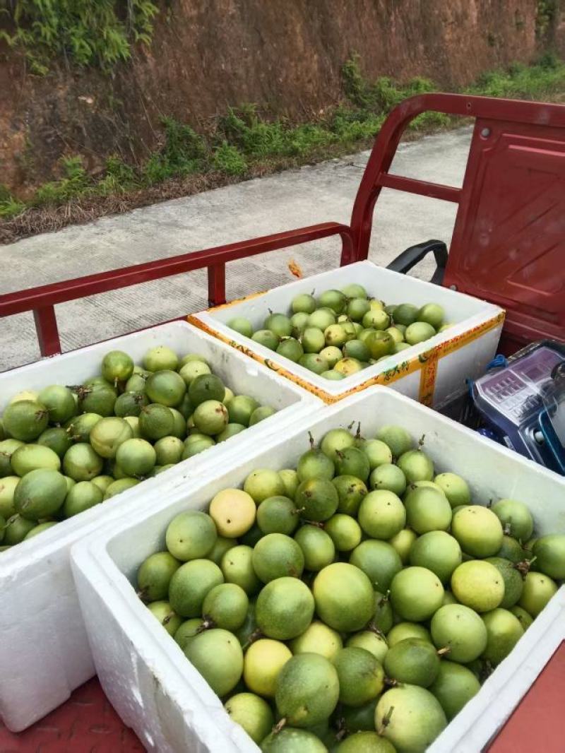 黄金百香果