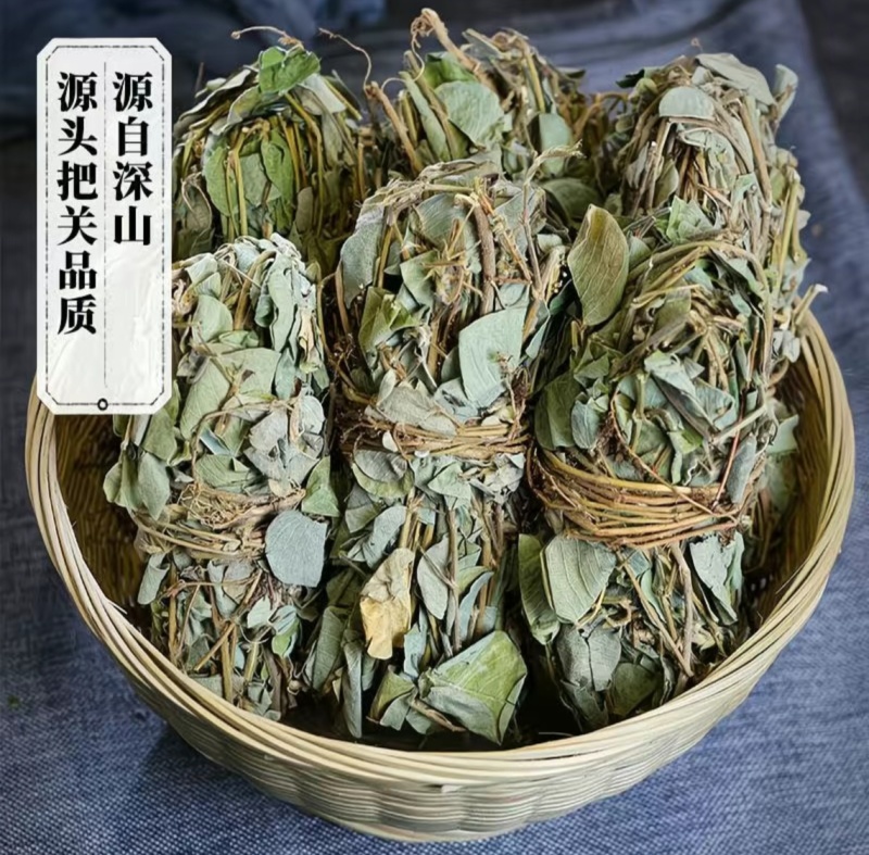 广西金钱草
