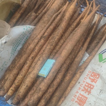 蠡县双棒山药，产地直发双棒山药量大质优，可视频看货