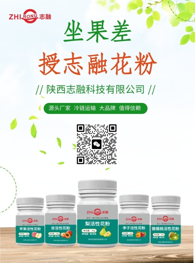 苹果猕猴桃人工授粉花粉志融花粉厂家批发