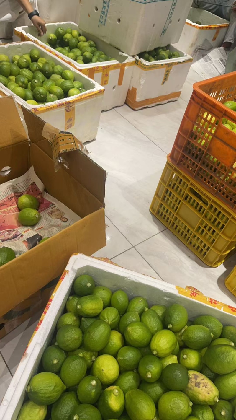 广西博白香水柠檬产地直发大量现货供应欢迎来电咨询