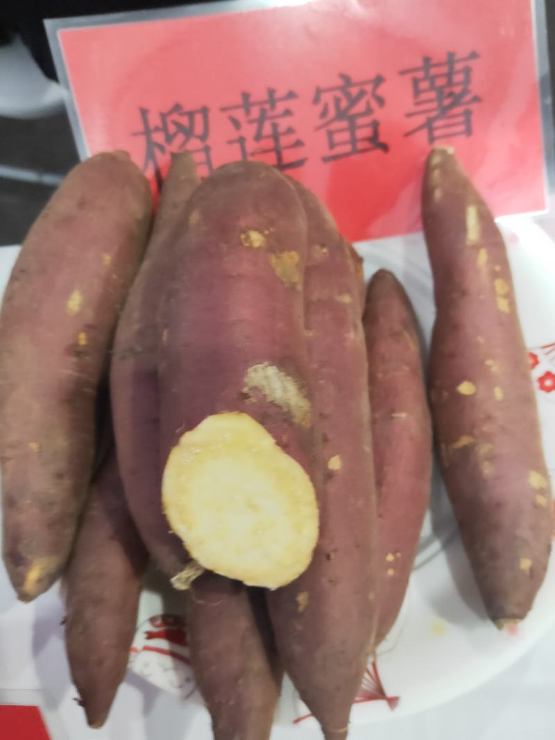 优质产品品质**
