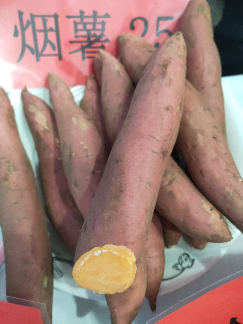优质产品品质**