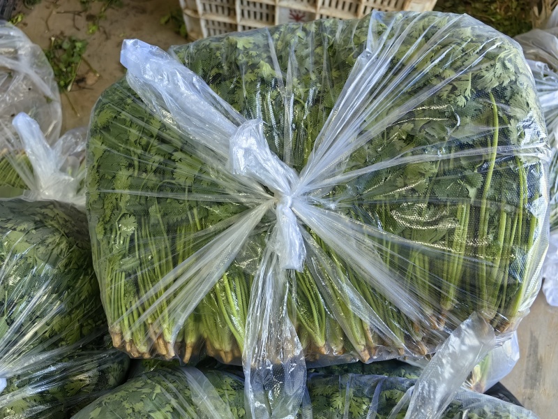 唐山铁杆青