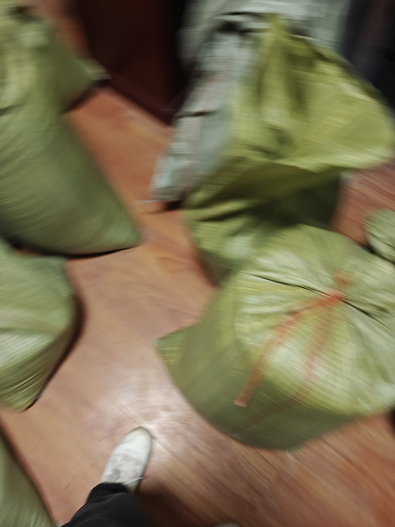 文冠果（甘肃产地）基地直供，量大从优！可视频看货