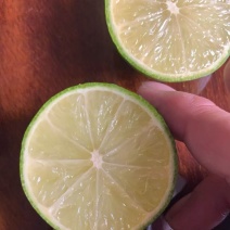 无籽青柠檬🍋基地一手货源，长期稳定，大量供应……