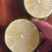 无籽青柠檬🍋基地一手货源，长期稳定，大量供应……