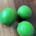无籽青柠檬🍋基地一手货源，长期稳定，大量供应……