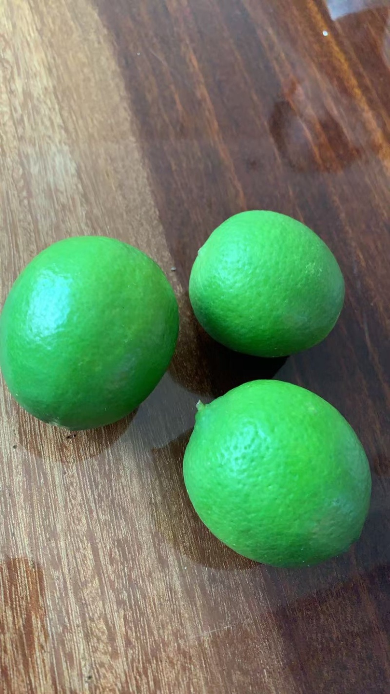 无籽青柠檬🍋基地一手货源，长期稳定，大量供应……