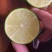 无籽青柠檬🍋基地一手货源，长期稳定，大量供应……
