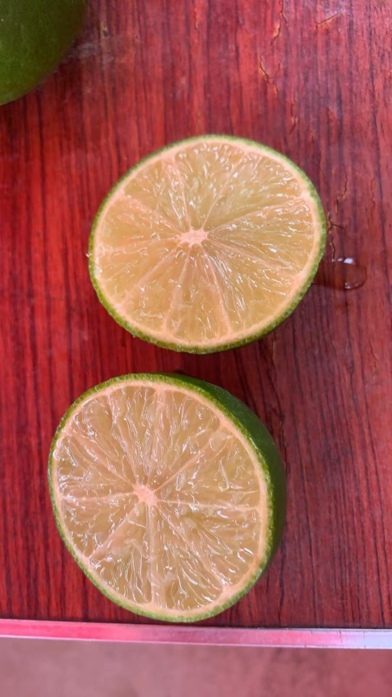 无籽青柠檬🍋基地一手货源，长期稳定，大量供应……