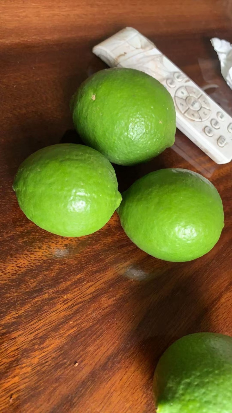 无籽青柠檬🍋基地一手货源，长期稳定，大量供应……