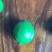 无籽青柠檬🍋基地一手货源，长期稳定，大量供应……