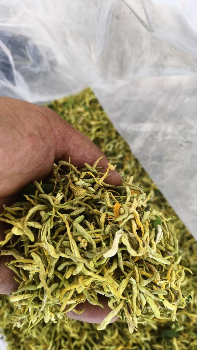 甘肃产地直供，可对接药店。药厂。品质可选，价格实惠！
