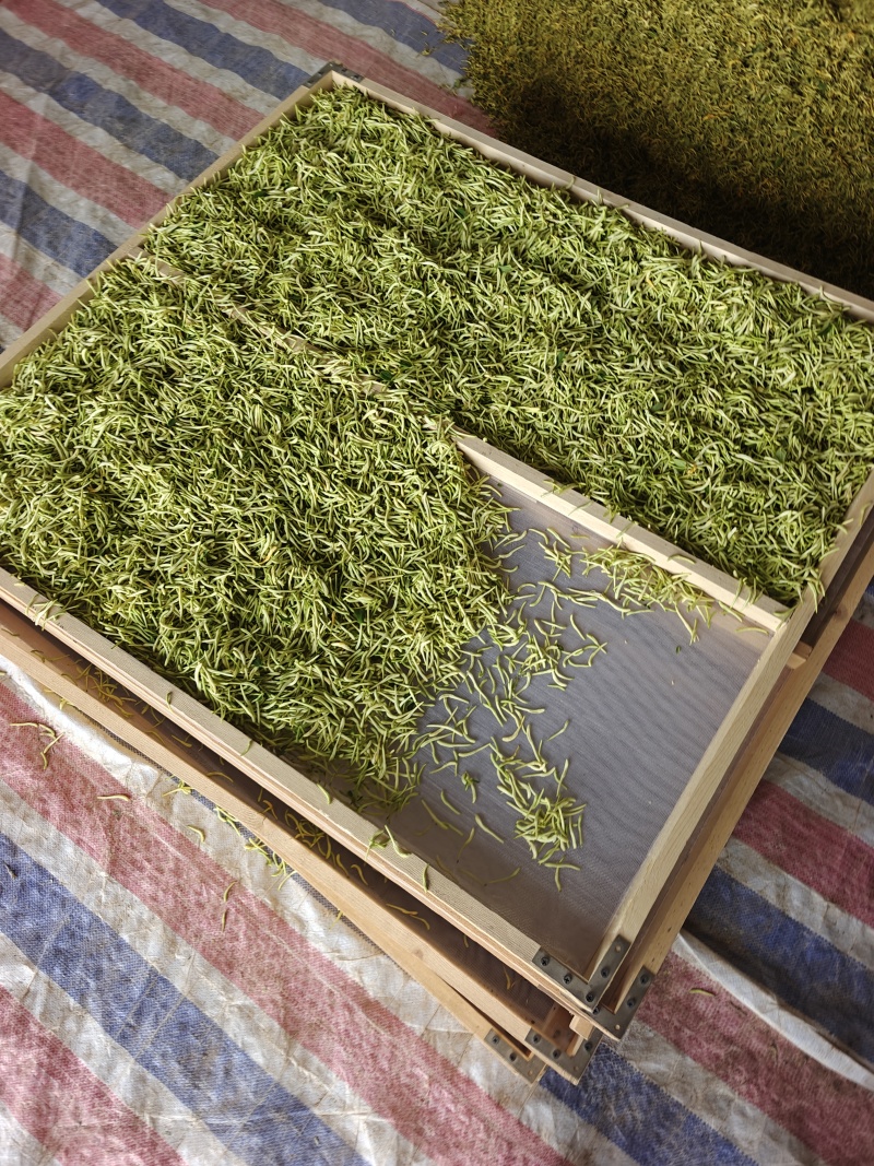 甘肃产地直供，可对接药店。药厂。品质可选，价格实惠！