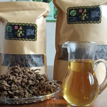 软肝草、石上莲手工茶叶