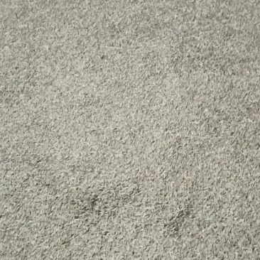 大量出售稻谷