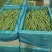 甘肃精品豆王