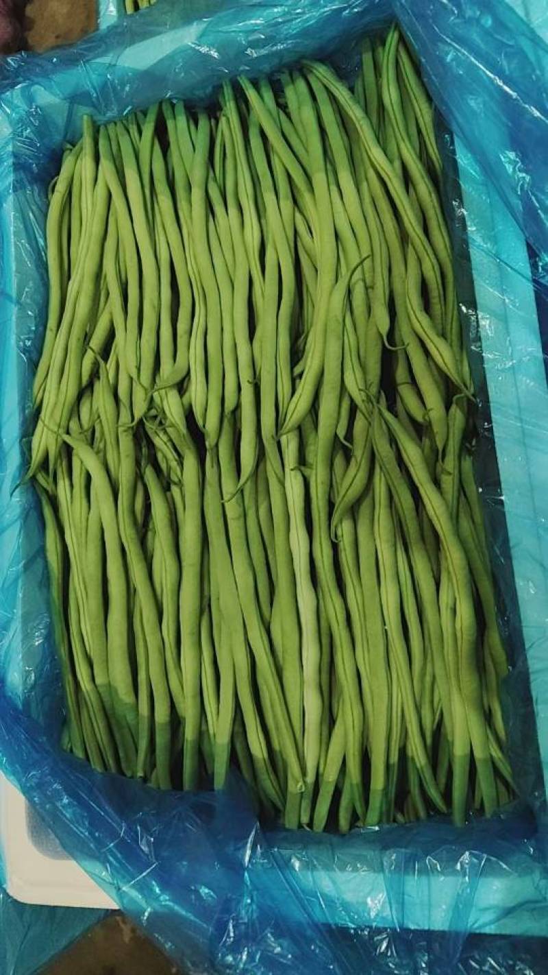 甘肃精品豆王