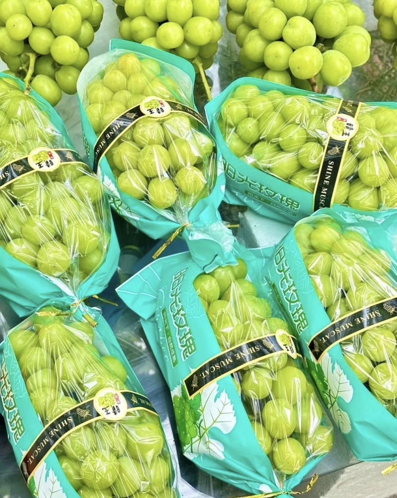 夏邑精品阳光玫瑰新鲜现货葡萄大量上市一手货源量大从优
