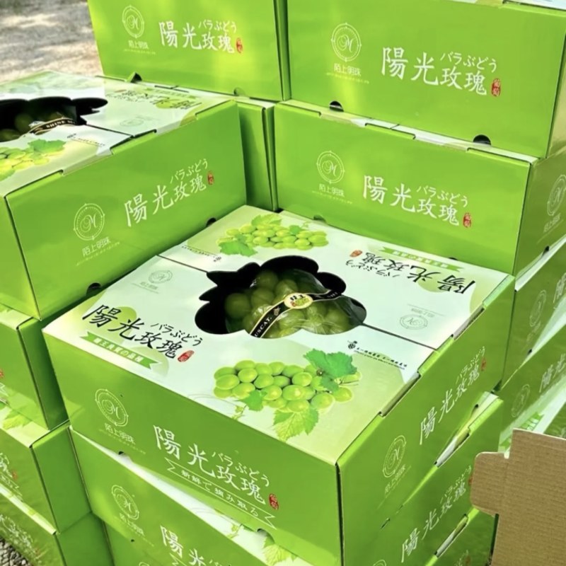 夏邑精品阳光玫瑰新鲜现货葡萄大量上市一手货源量大从优