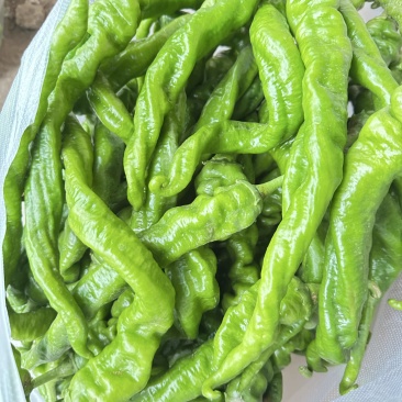 螺丝椒
