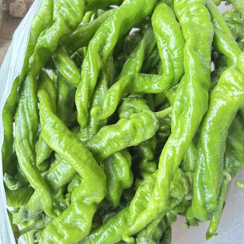 螺丝椒