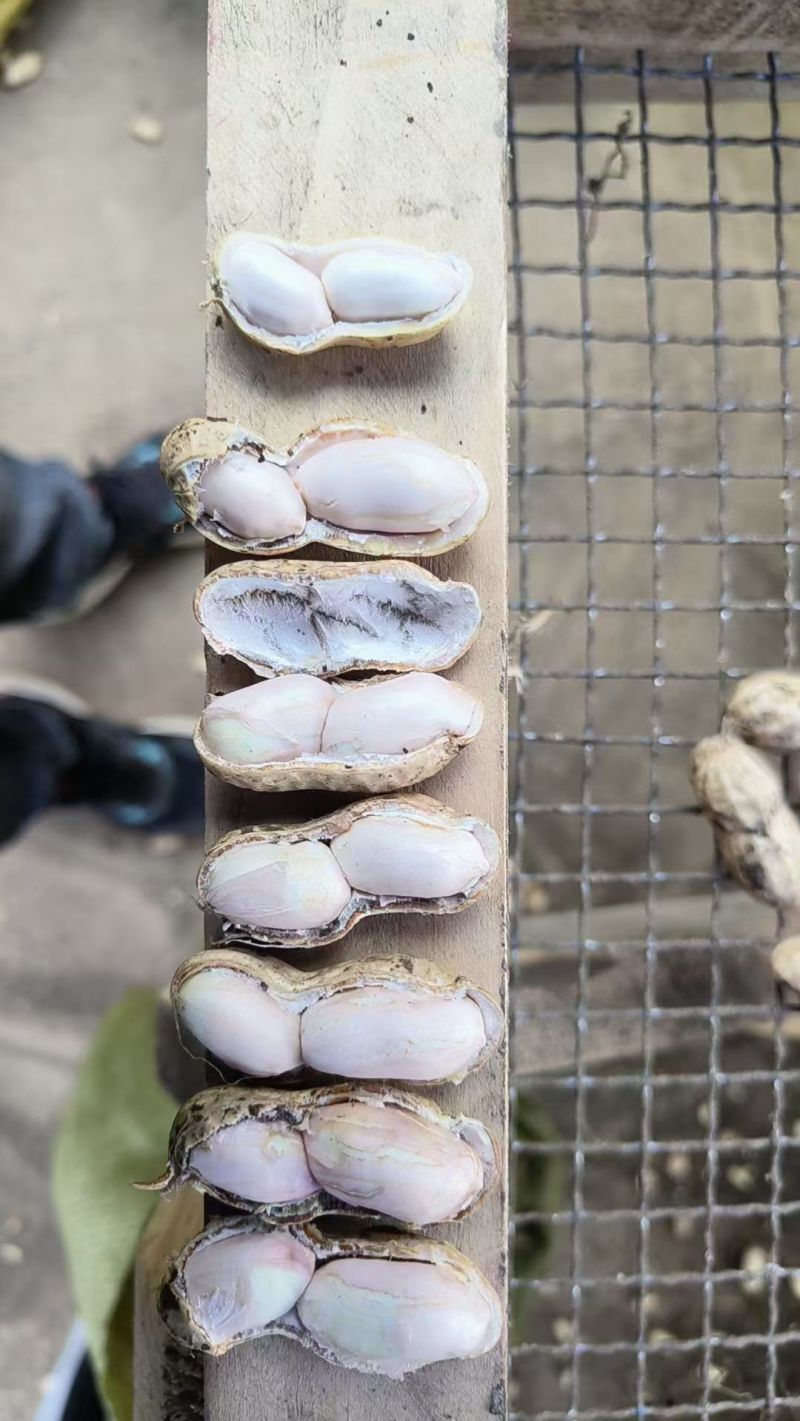 徐州精品大白沙，质量非常好，人工过筛，精挑细选，需要联系