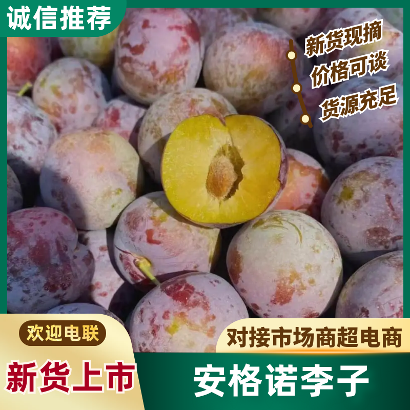 山东李子红脆李子安格诺李子现摘现发全国发货脆红李