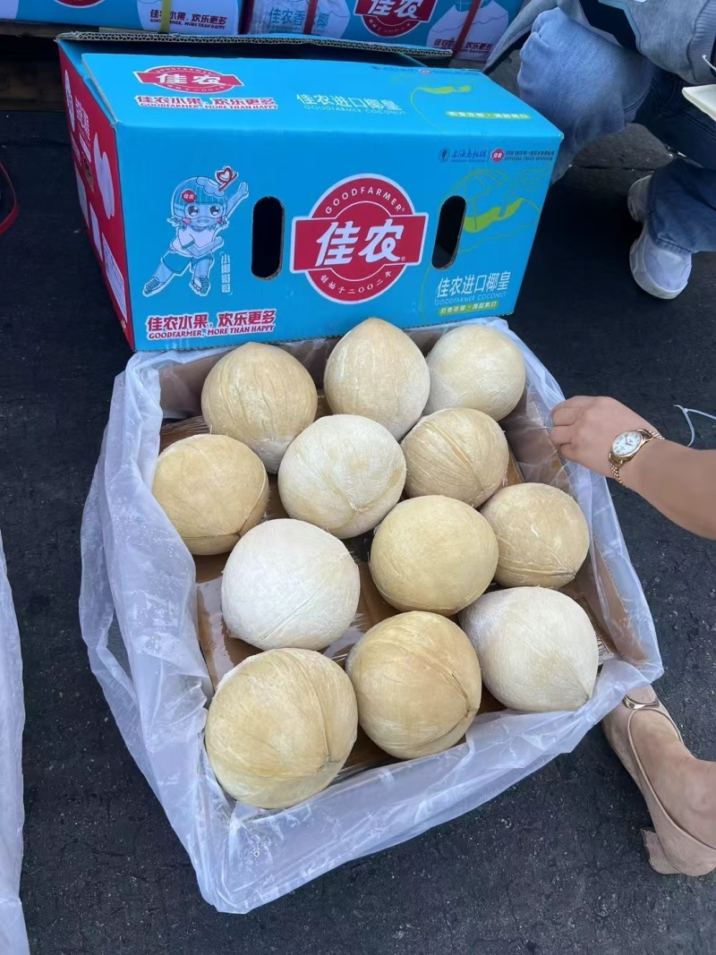 泰国\越南都做，整柜\拼柜\现货都做，需要老板联系，产地直销