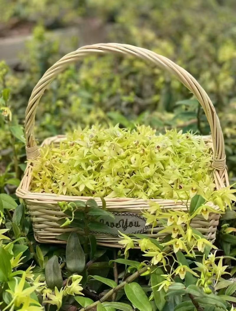 石斛花