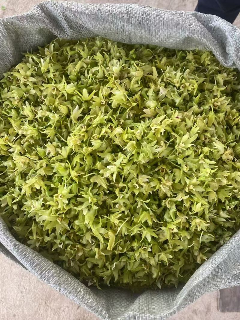 石斛花
