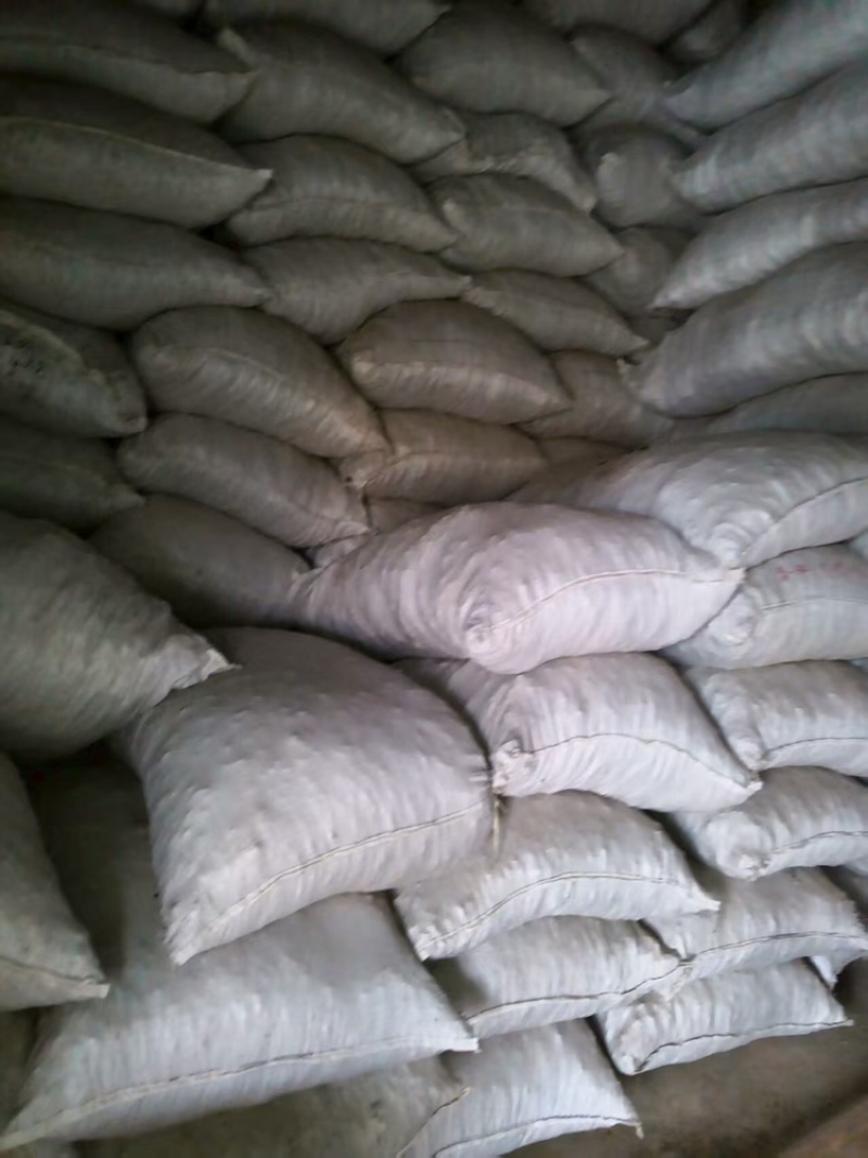 山核桃皮，产地直发，大量现货，可视频看货，支持代发