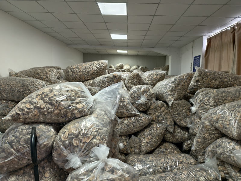 随州花菇通货处理货在上海仓库