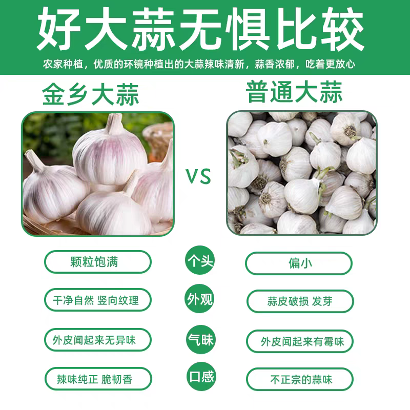 《金乡大蒜》紫皮大蒜/产地直发/价格公道/全国整车批发