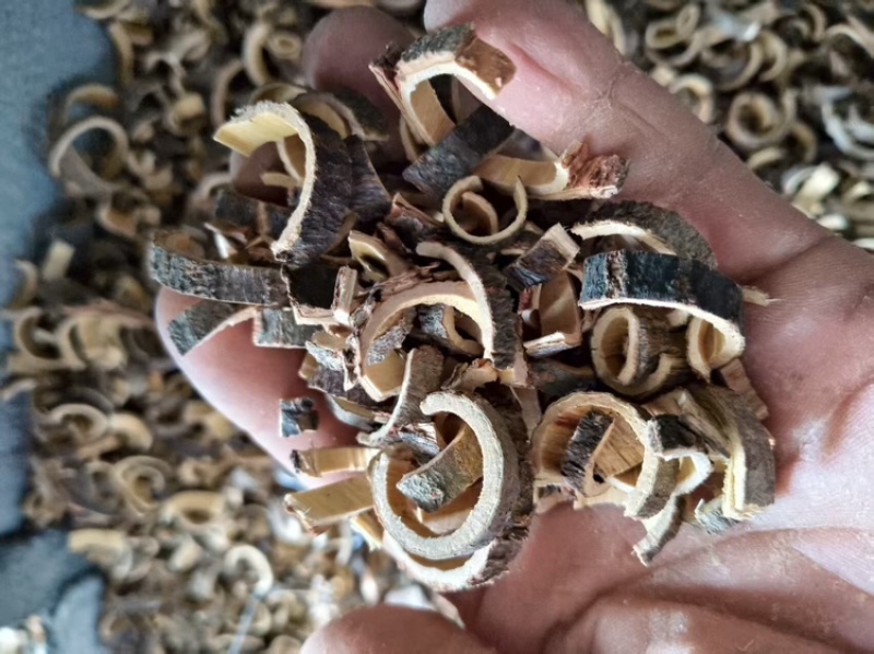 合欢皮(猫子木皮)，可长期供货，量大从优，欢迎各位采购