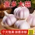 《金乡大蒜》紫皮大蒜/产地直发/价格公道/全国整车批发