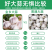 《金乡大蒜》紫皮大蒜/产地直发/价格公道/全国整车批发