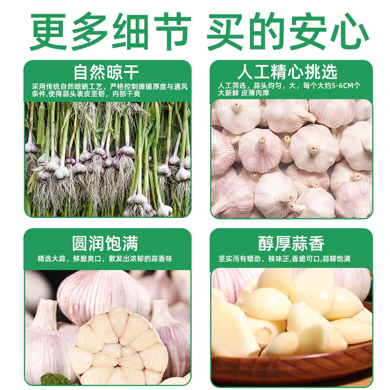 《金乡大蒜》紫皮大蒜/产地直发/价格公道/全国整车批发