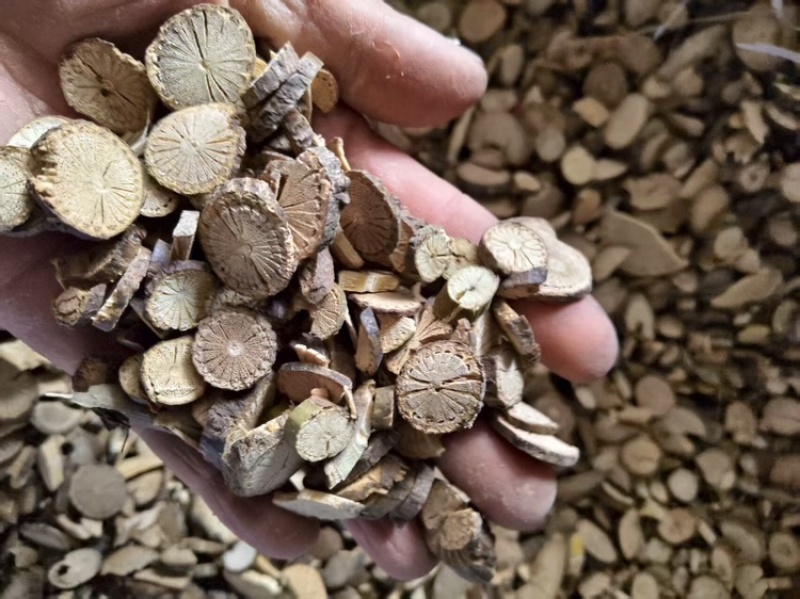 青风藤根片，大量有货，可长期供货，量大从优