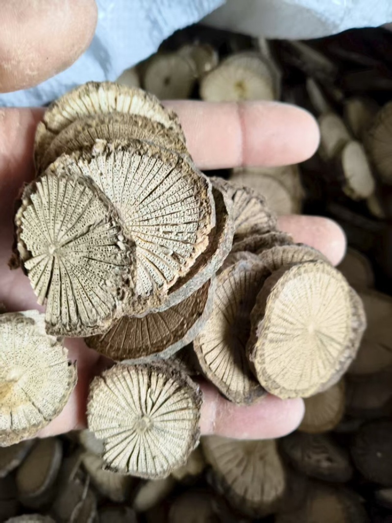 青风藤根片，大量有货，可长期供货，量大从优