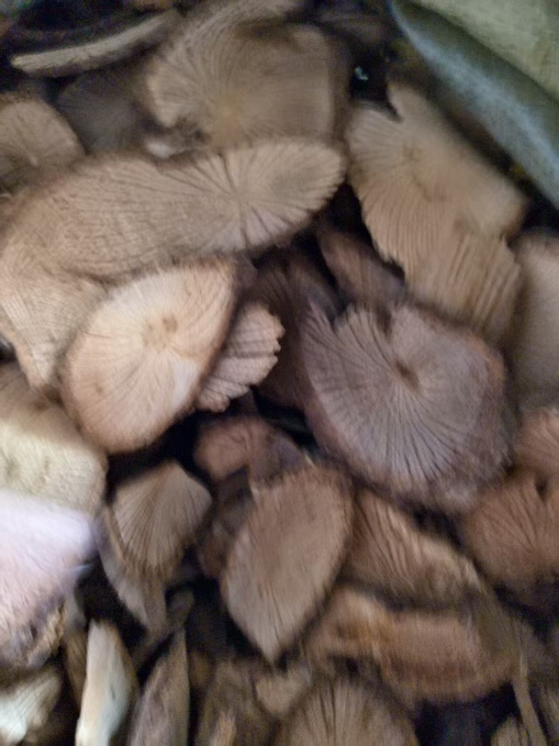 青风藤根片，大量有货，可长期供货，量大从优