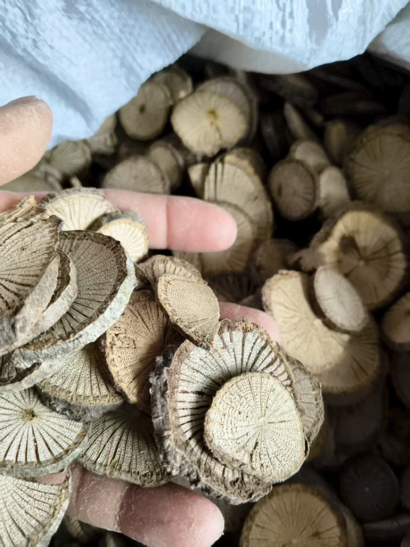 青风藤根片，大量有货，可长期供货，量大从优