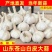 《白皮蒜》金乡大蒜/苍山大蒜/品质保证/全国供应电商市场