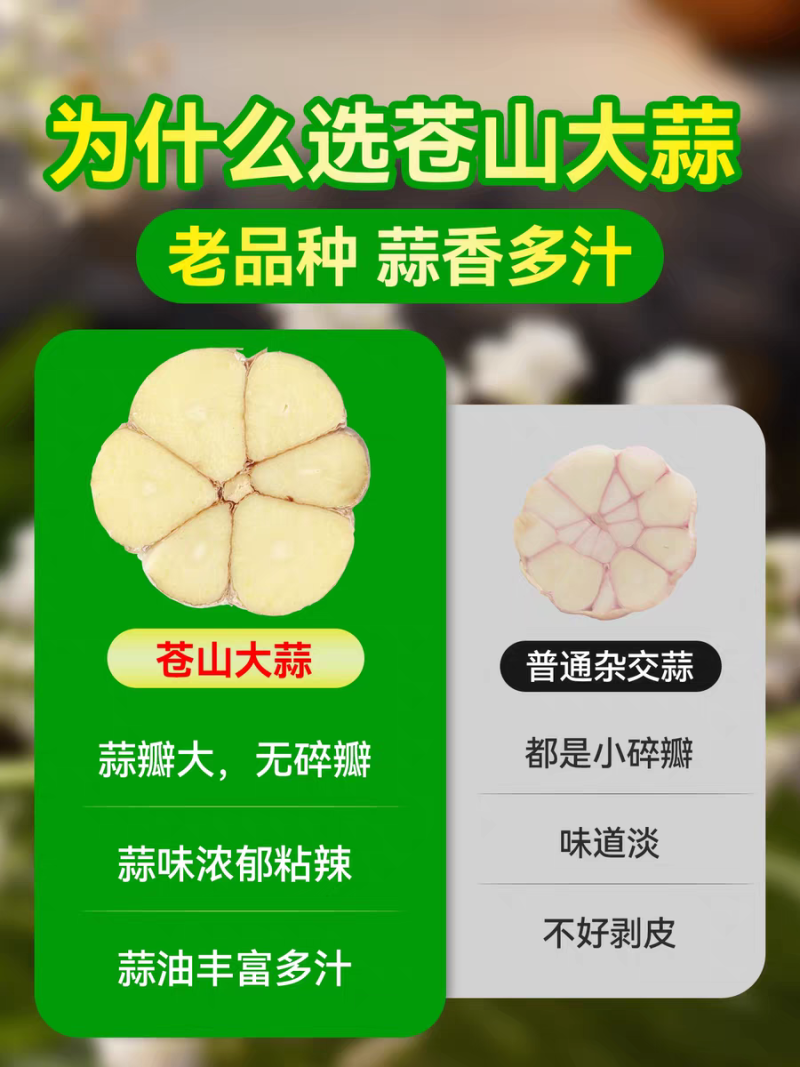 《白皮蒜》金乡大蒜/苍山大蒜/品质保证/全国供应电商市场