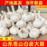 《白皮蒜》金乡大蒜/苍山大蒜/品质保证/全国供应电商市场